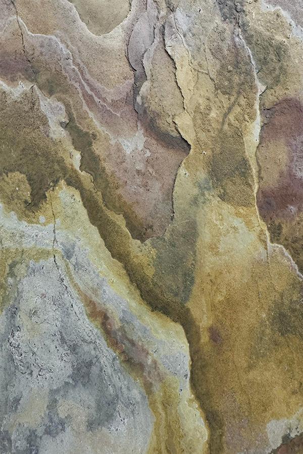 microscope preview