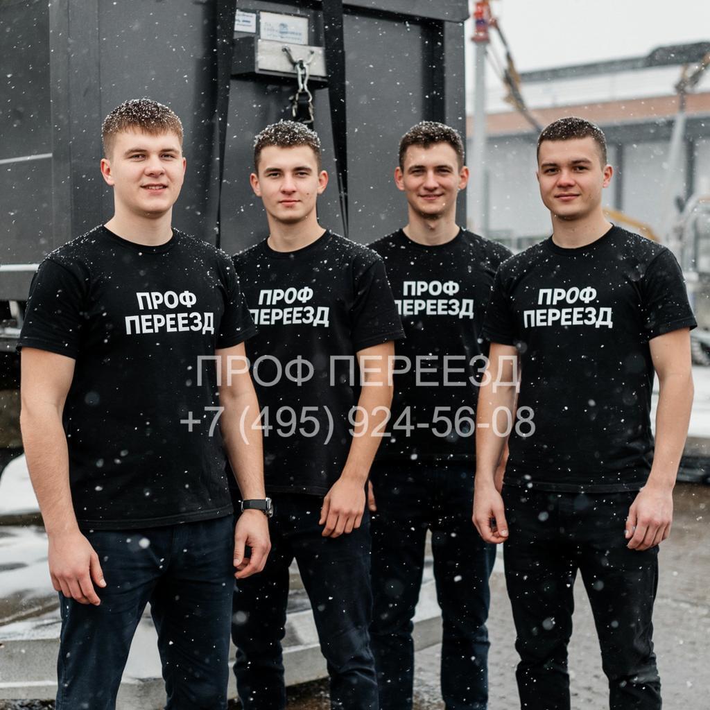 Перевозка рояля