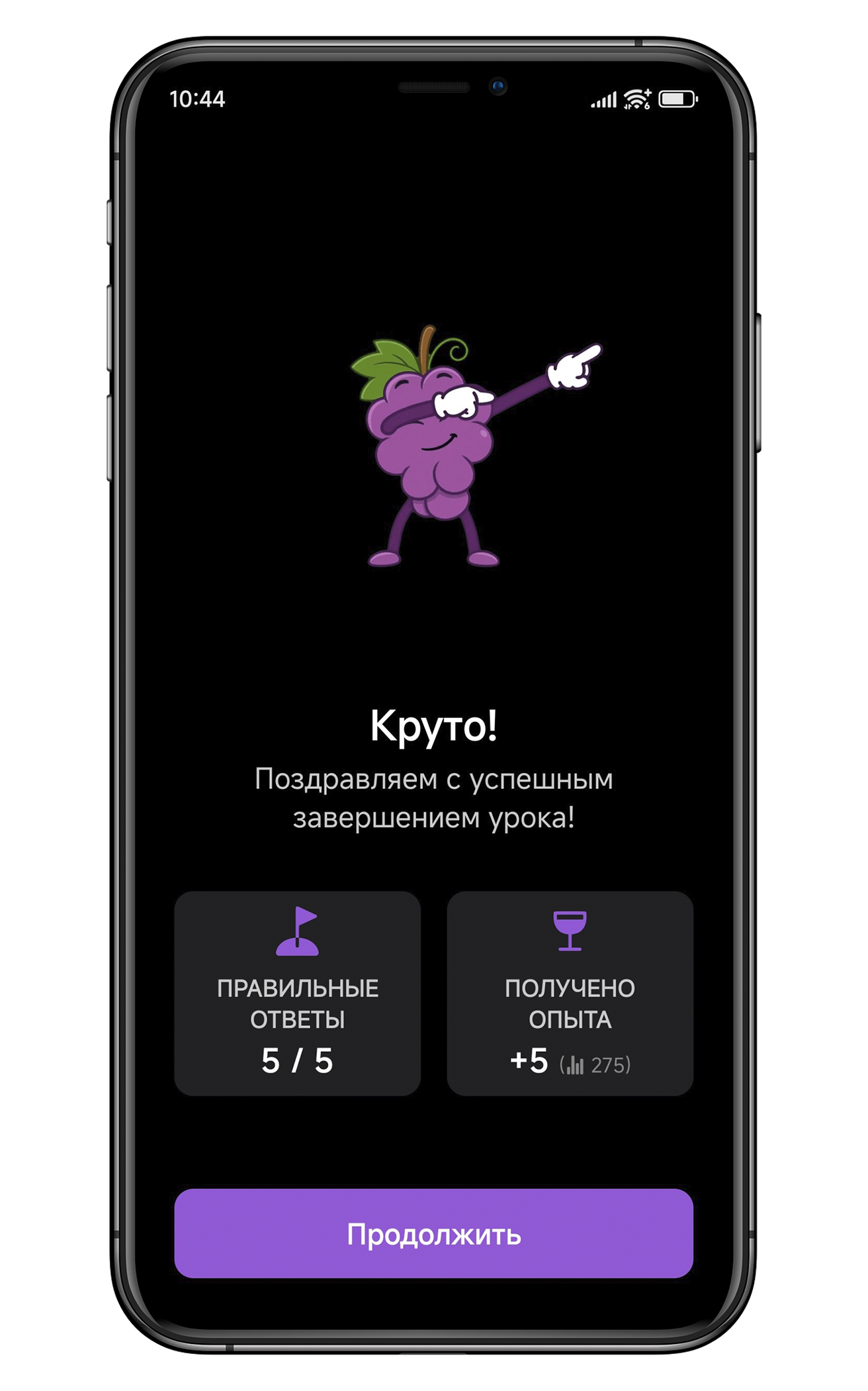 SipWise: Завершение урока
