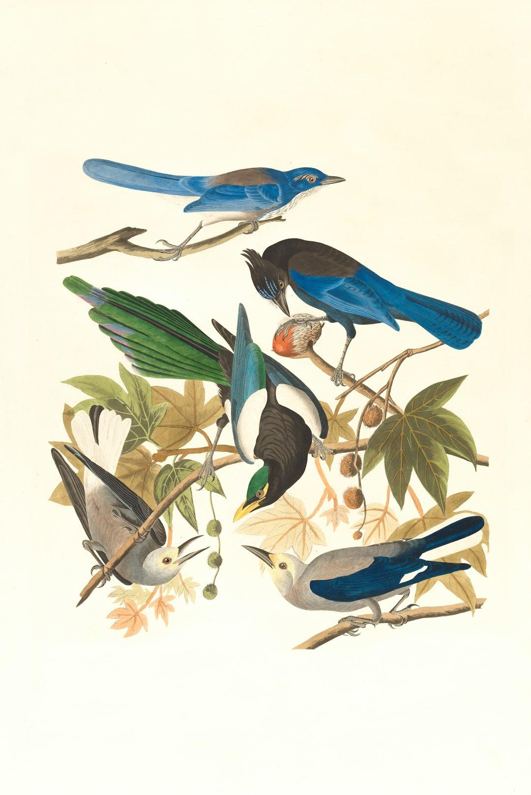 goods image