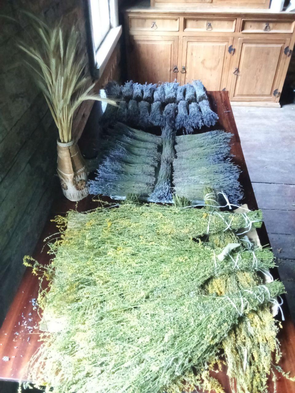 double image fisrt part