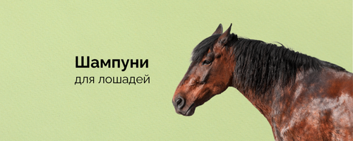Шампуни для лошадей