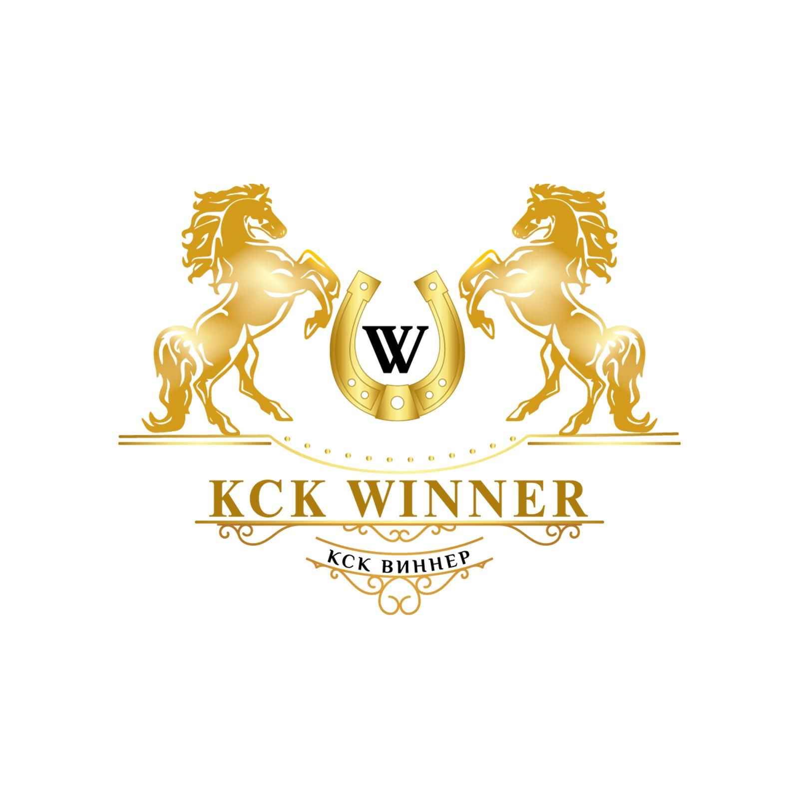 double image second part