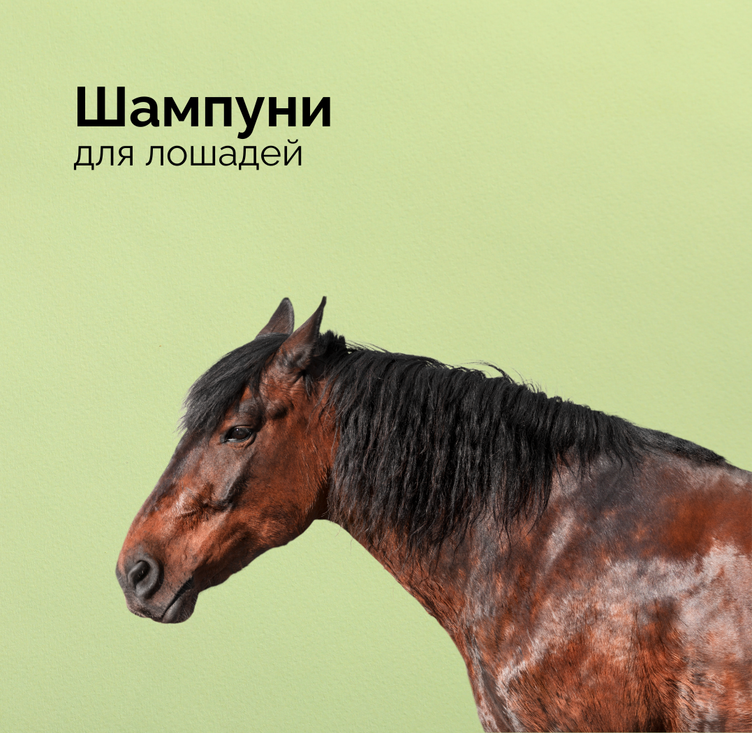 Шампуни для лошадей