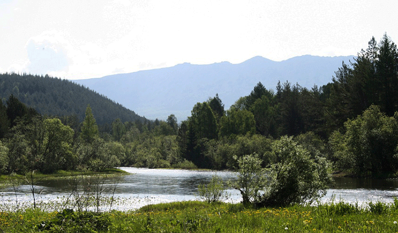 Сплав по реке Юрюзань