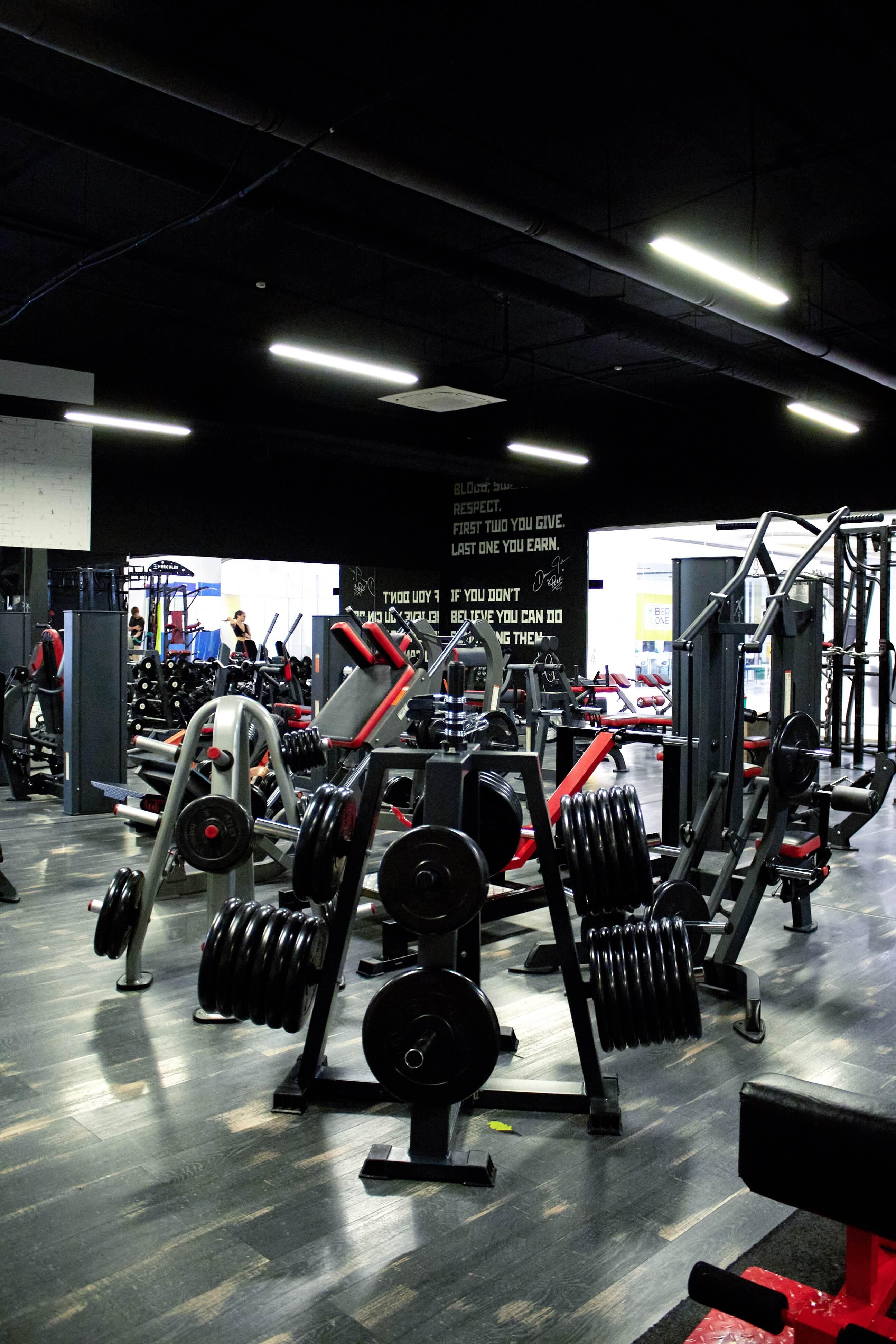 Лопатино фитнес-клуб TMGYM