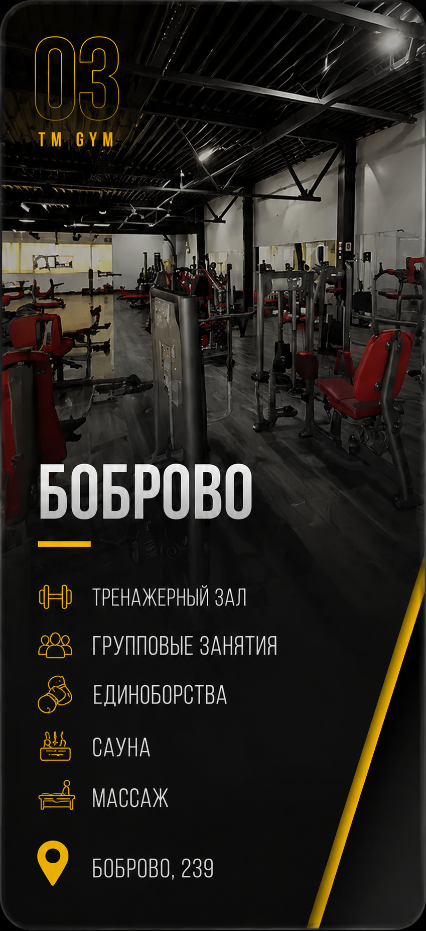 Бокс TM GYM