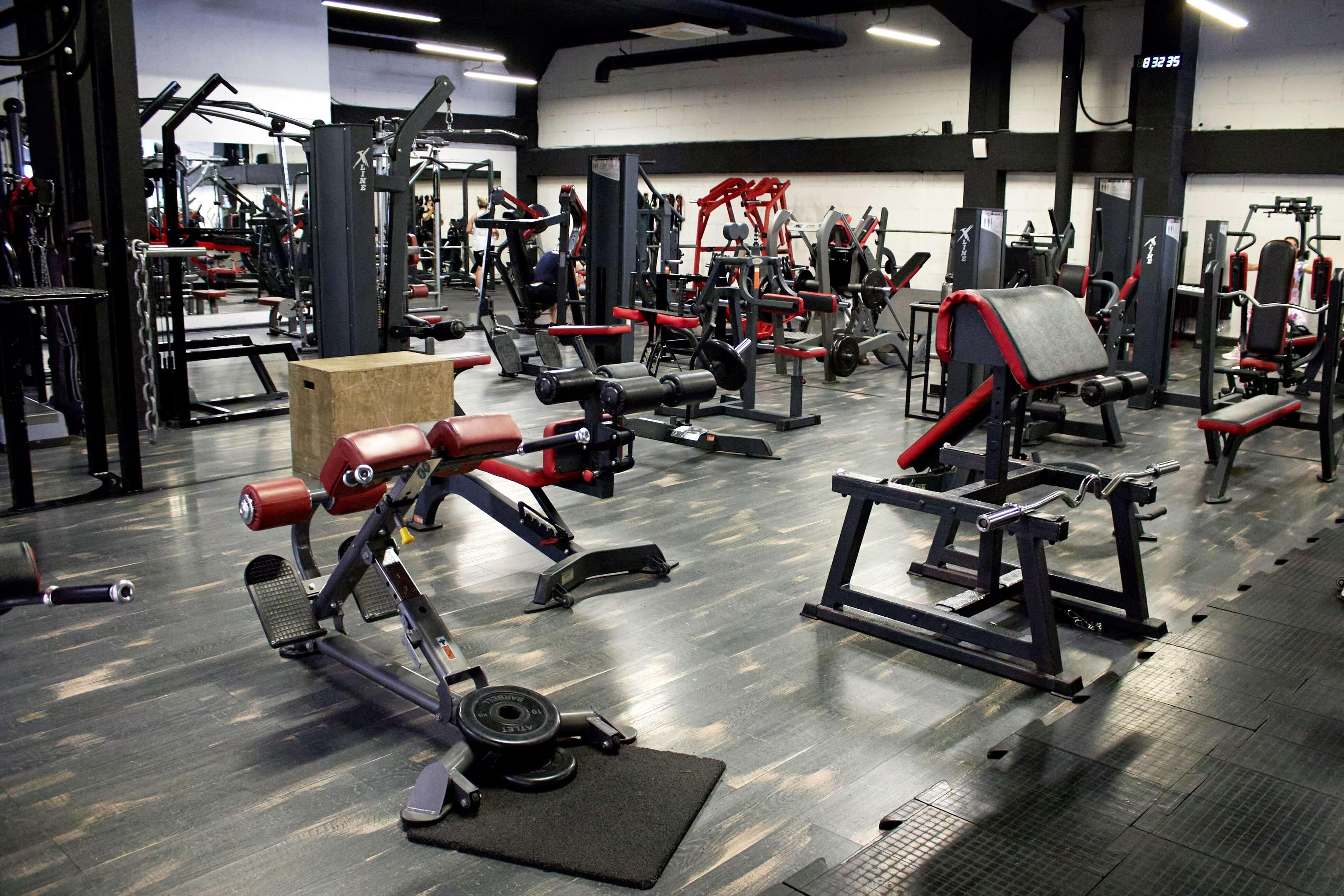 Лопатино фитнес-клуб TMGYM
