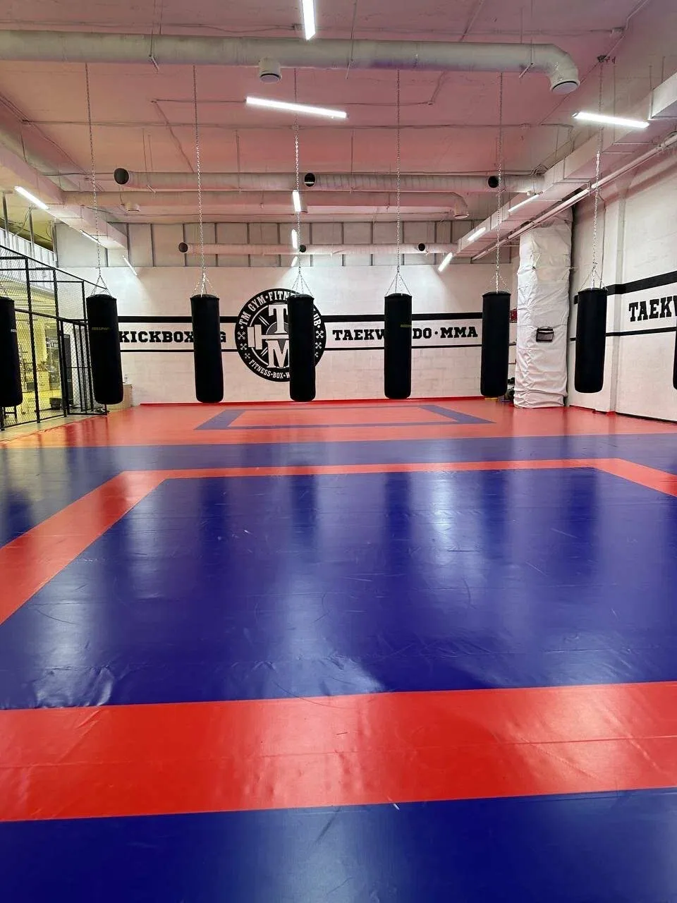 Лопатино фитнес-клуб TMGYM