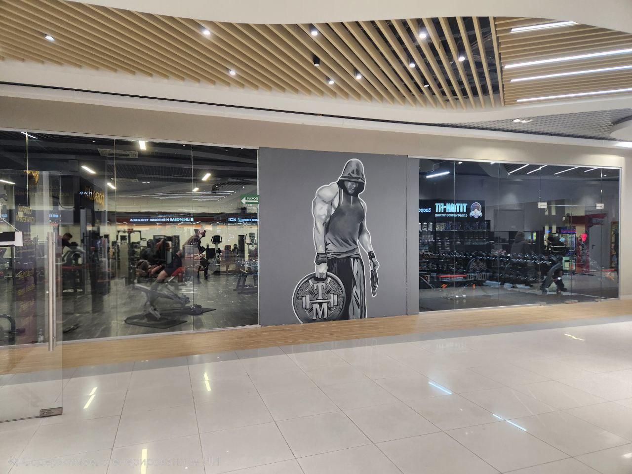 Лопатино фитнес-клуб TMGYM