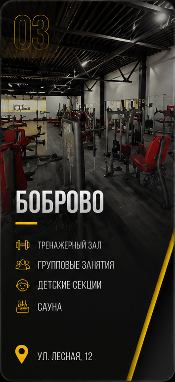 Бокс TM GYM