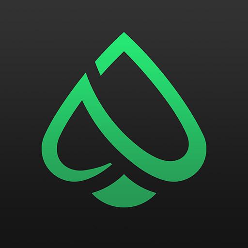 double image second part