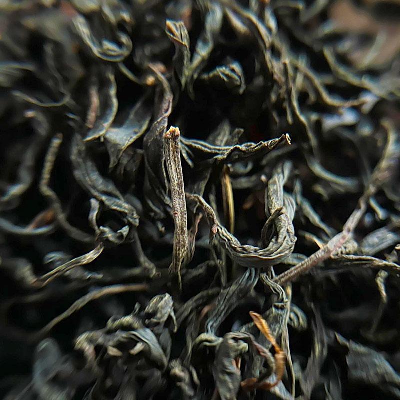 microscope preview