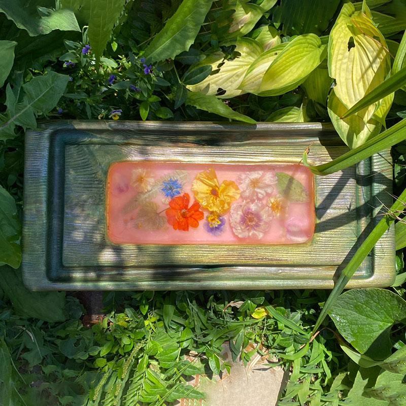 microscope preview
