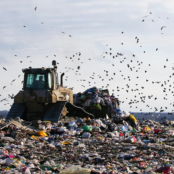 double image fisrt part