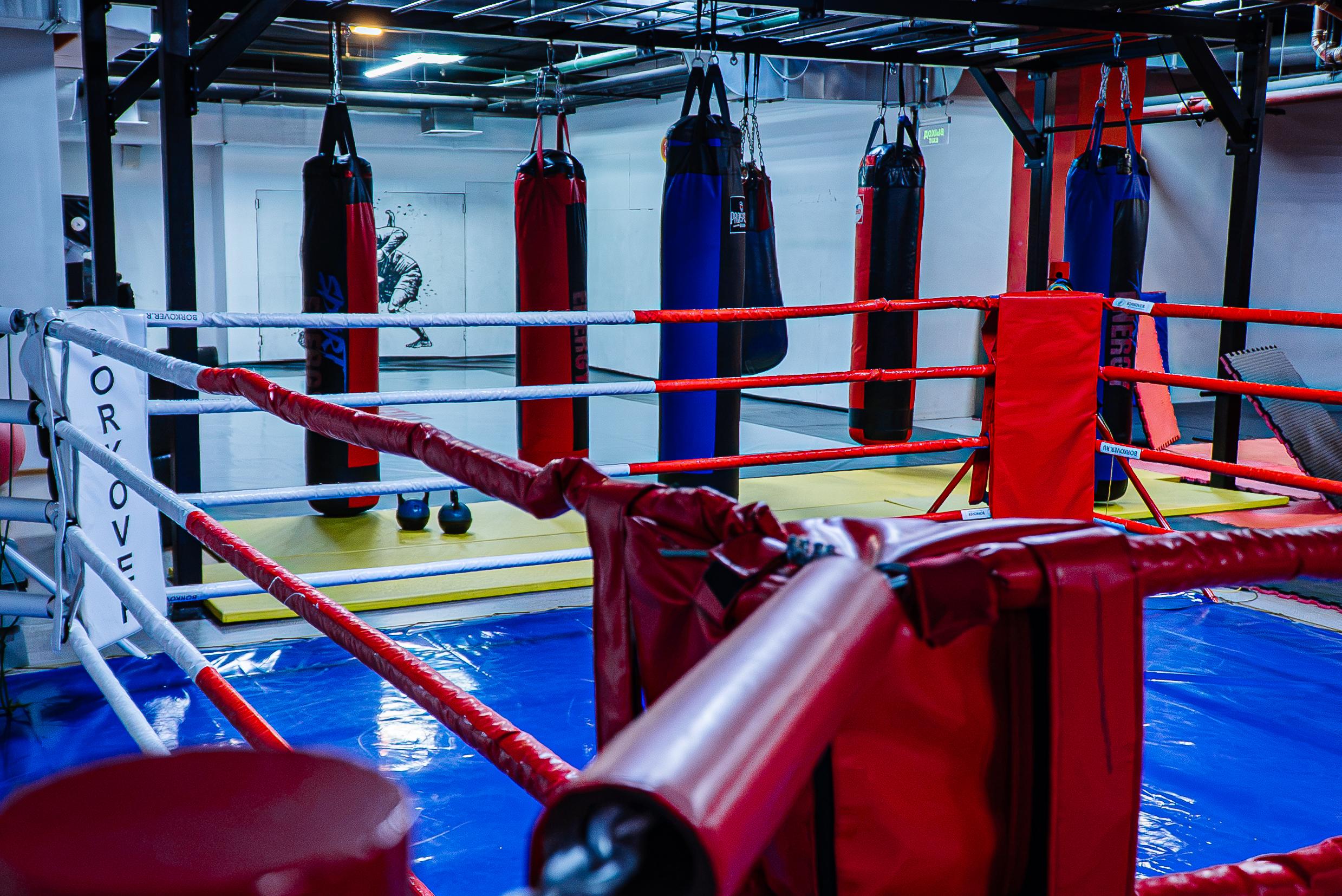 goods preview