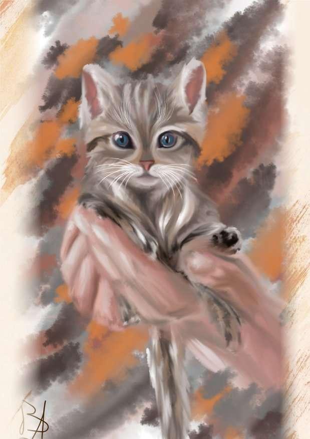 Пушистое счастье