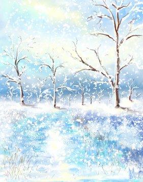 Тишина зимней души