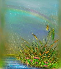 Радуга в дожде