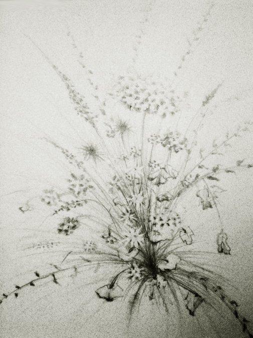 Хрупкая тишина