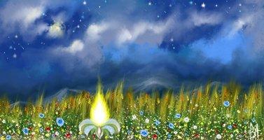 Цветок-звезда