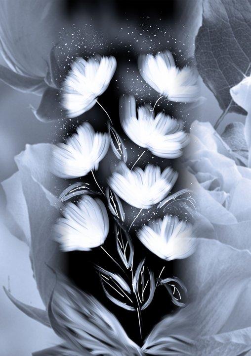 Танец белых теней