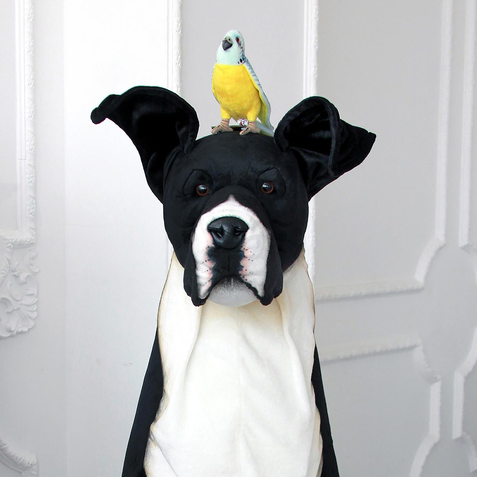 goods image