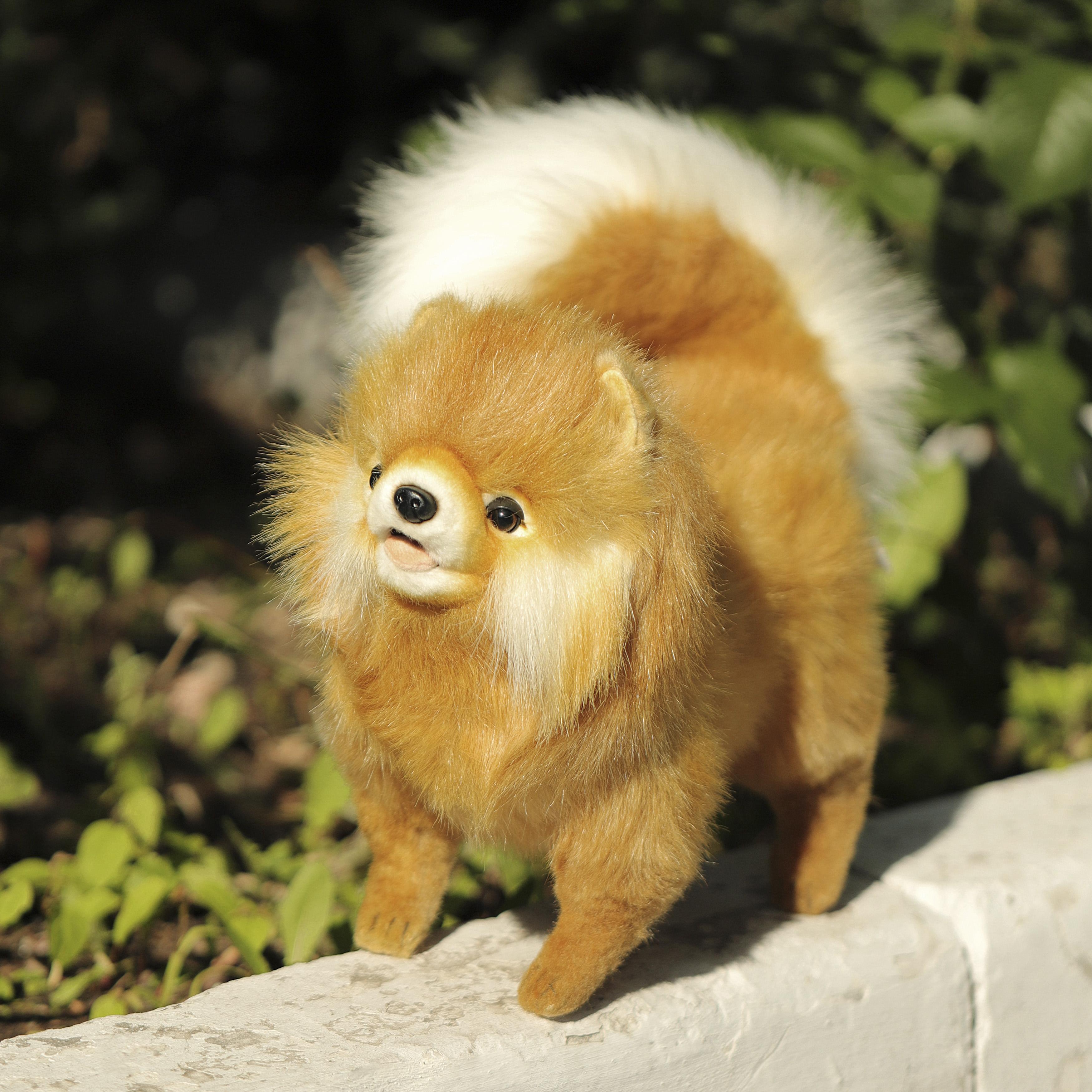 goods image