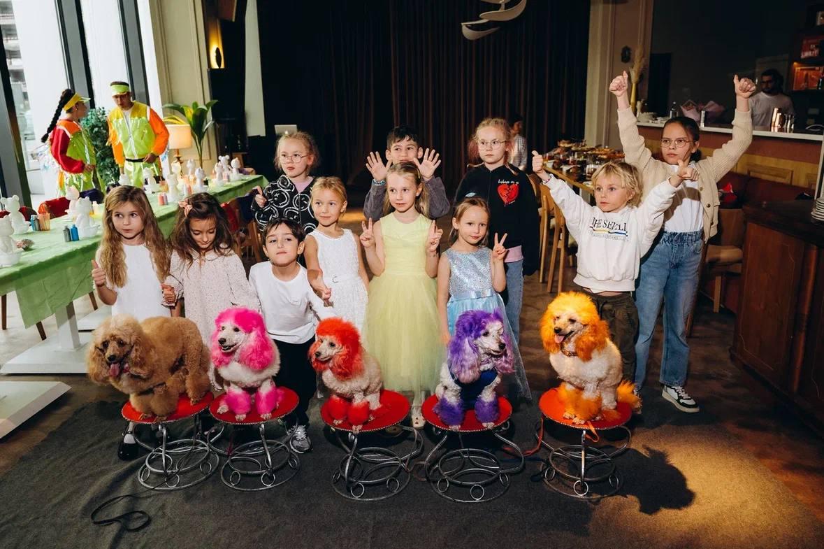 Пудели во время выступления