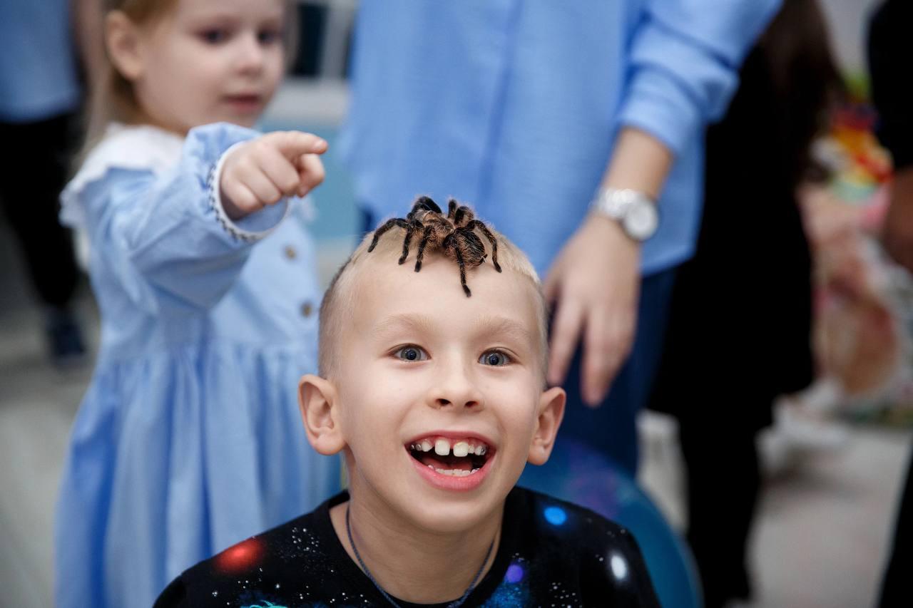 Ребёнок с пауком на голове на шоу Треш-коробка от AMStudio