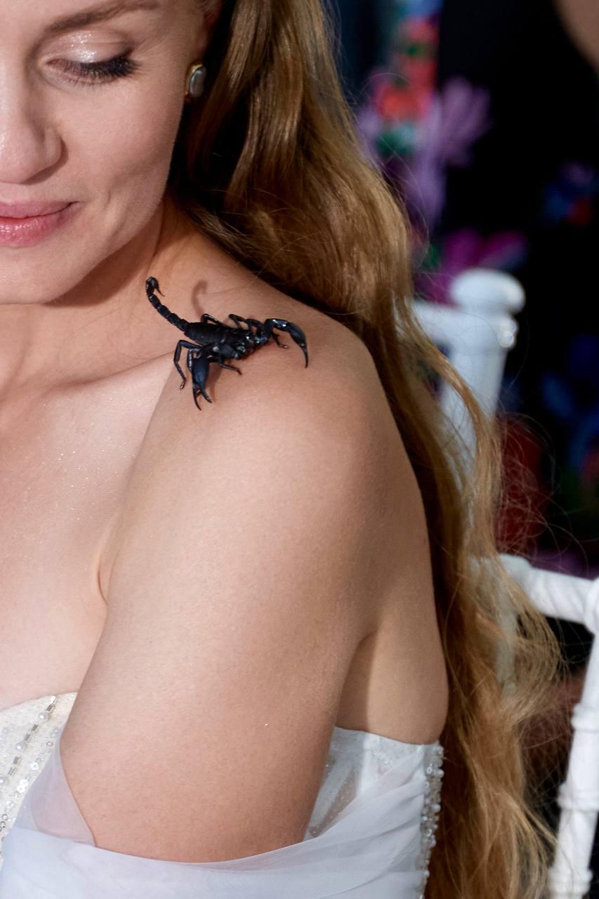 Скорпион на плече девушки на шоу с животными от AMStudio