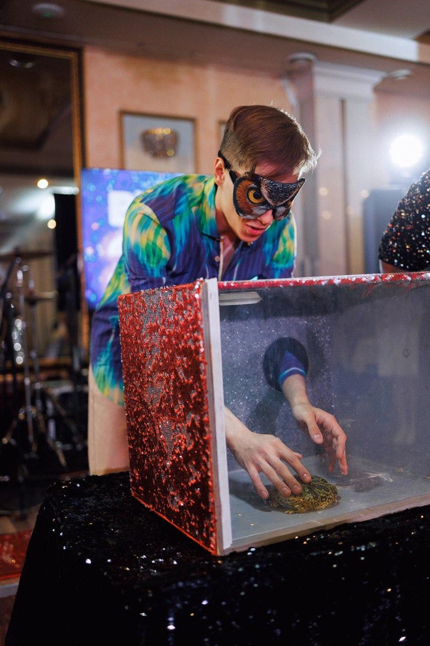 Шоу с животными AMStudio в Москве — участник с повязкой на глазах опускает руки в коробку и угадывает, кто внутри, в программе Треш-коробка