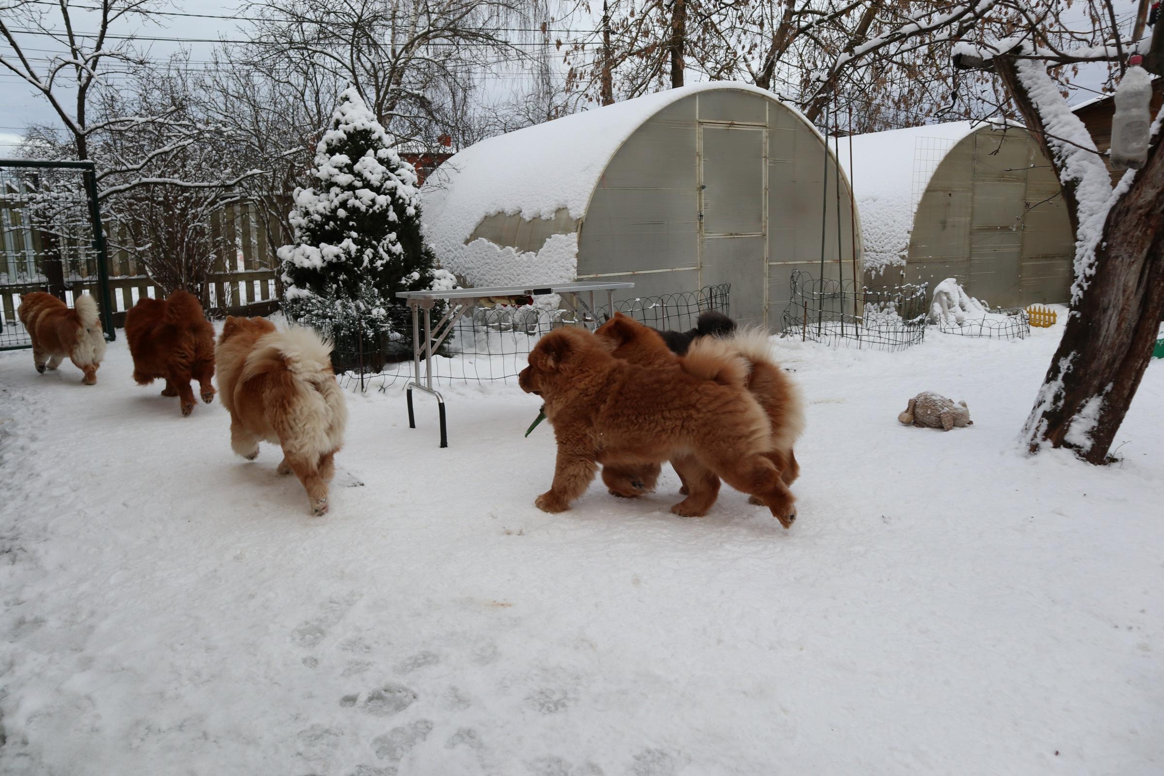 Сеня 7 месяцев