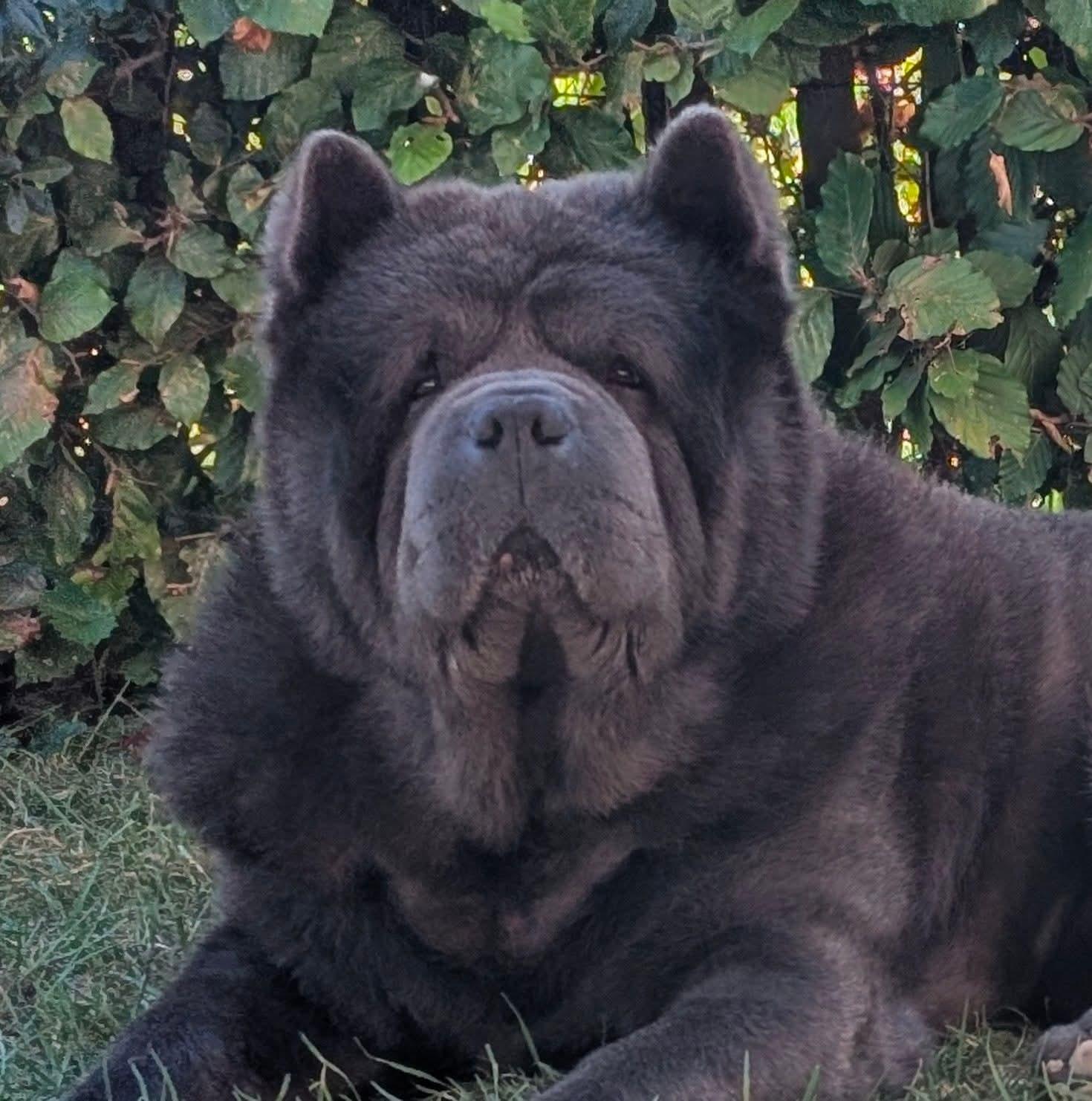 KLOTO DANIEL MOSCOWCKIY (Даня)