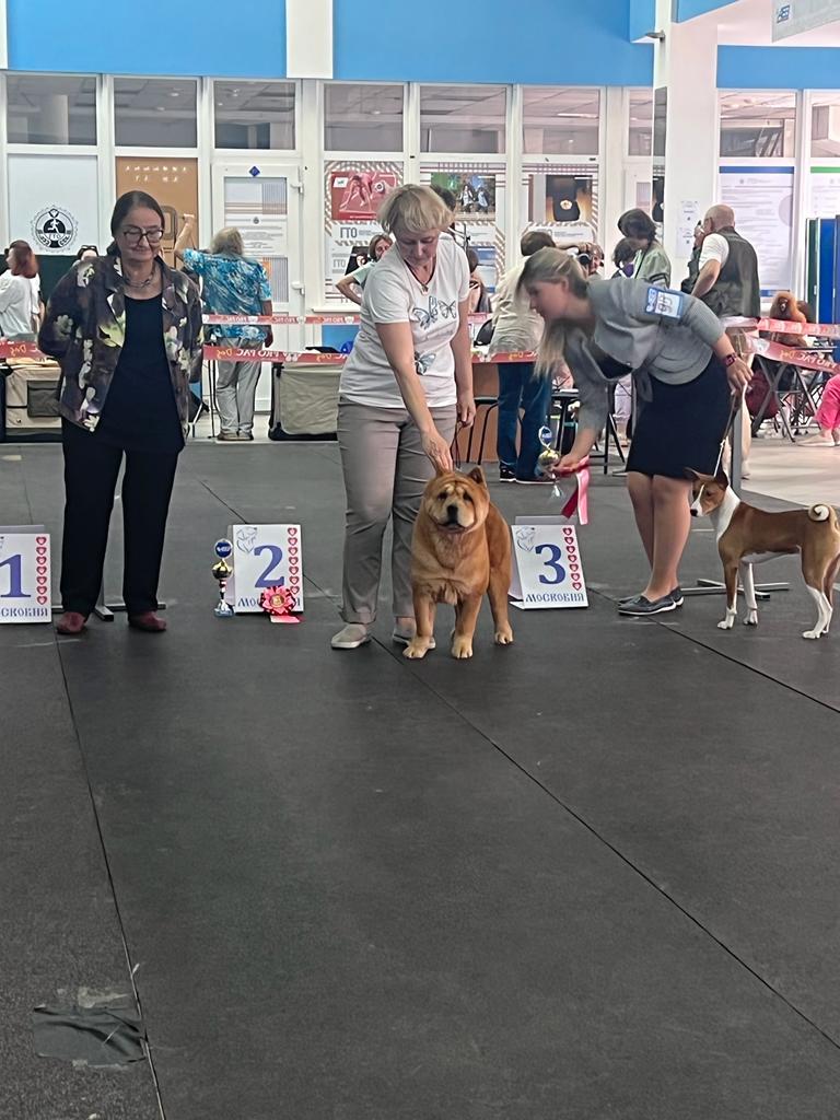 Клото Сантия Ли Мей 