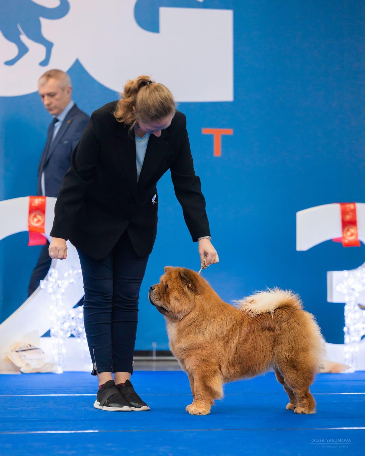 Клото Стефания Гуанчжоу