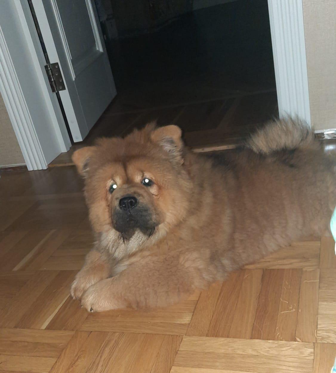 Клото Стефания Гуанчжоу