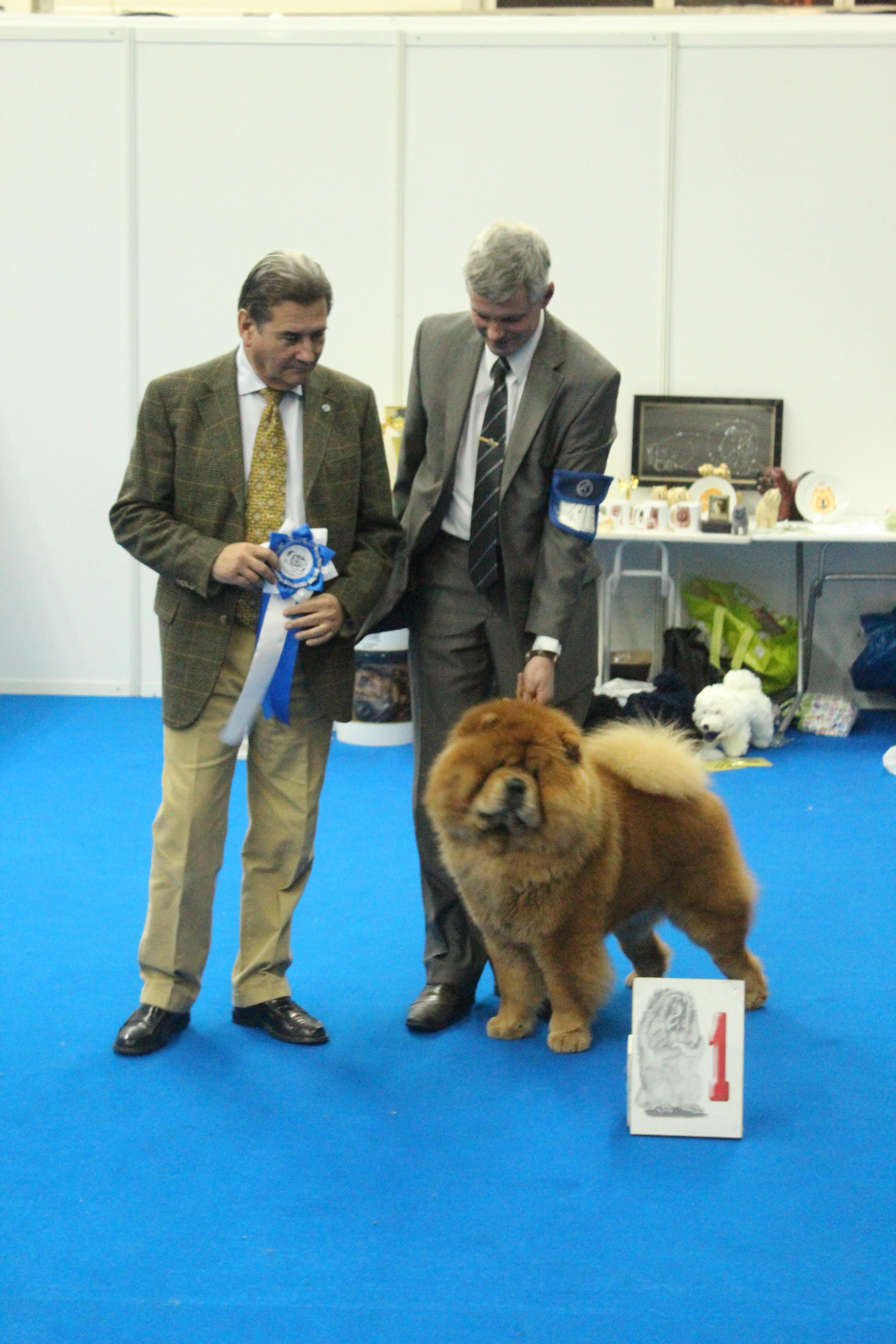 Сеня - 3 года - моно "Золотое Руно - 2016" - 06.11.2015г. - отл.1, CW, ЛК, ЛПП