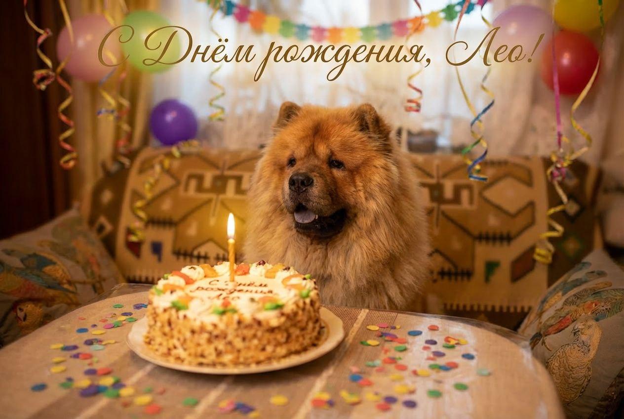 Сеня 7 месяцев