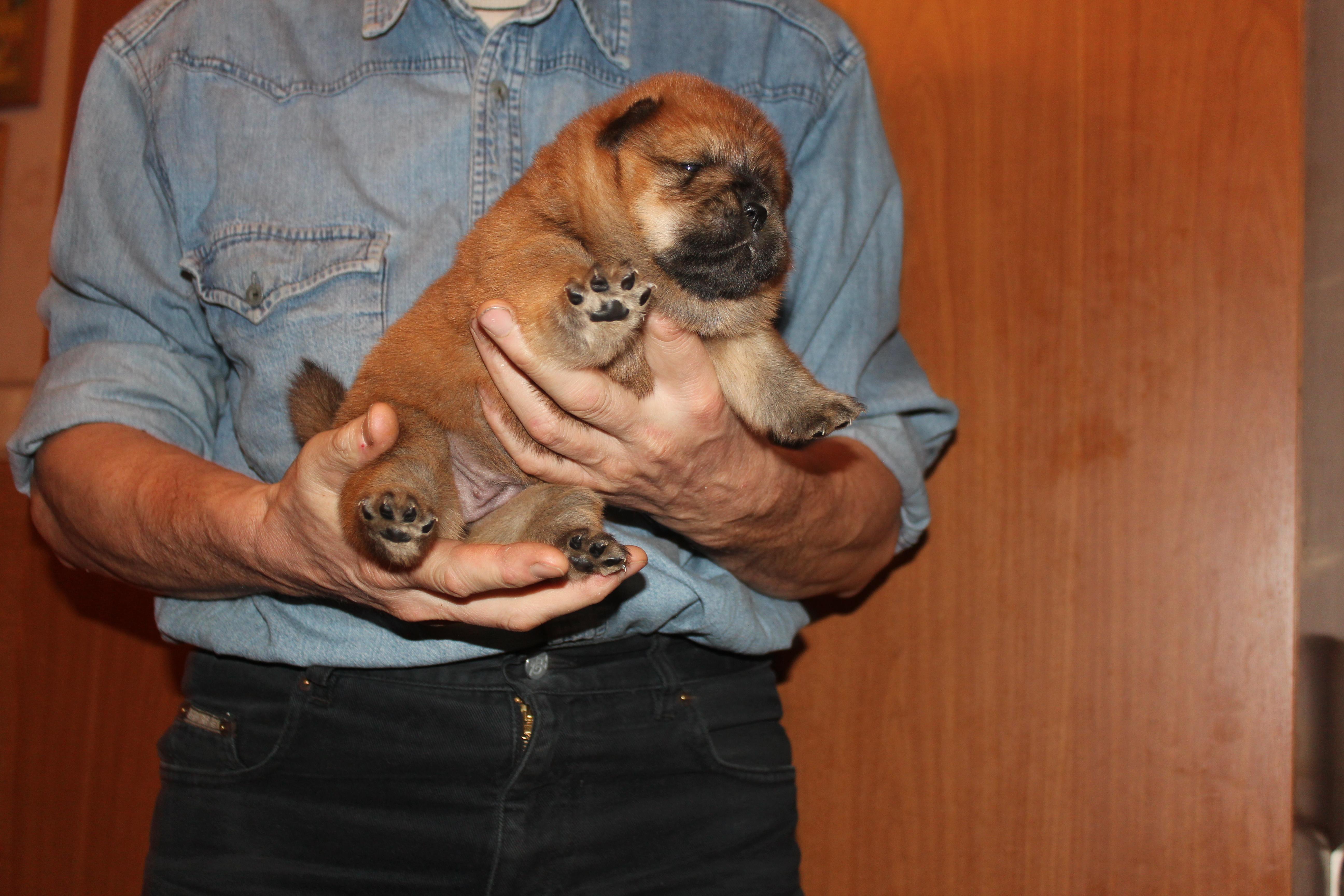 Клото Сильвия Мин Чжу