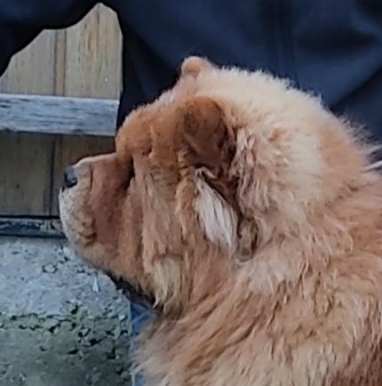 Сеня 7 месяцев