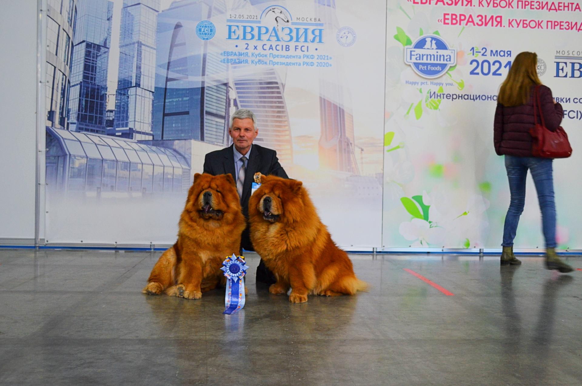 Сеня - 2,5 года - Евразия-2015 - 21.03.2015г. - отл. 3