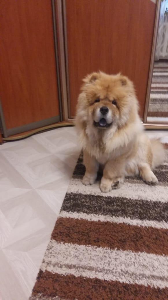 Клото Сантия Ли Мей 