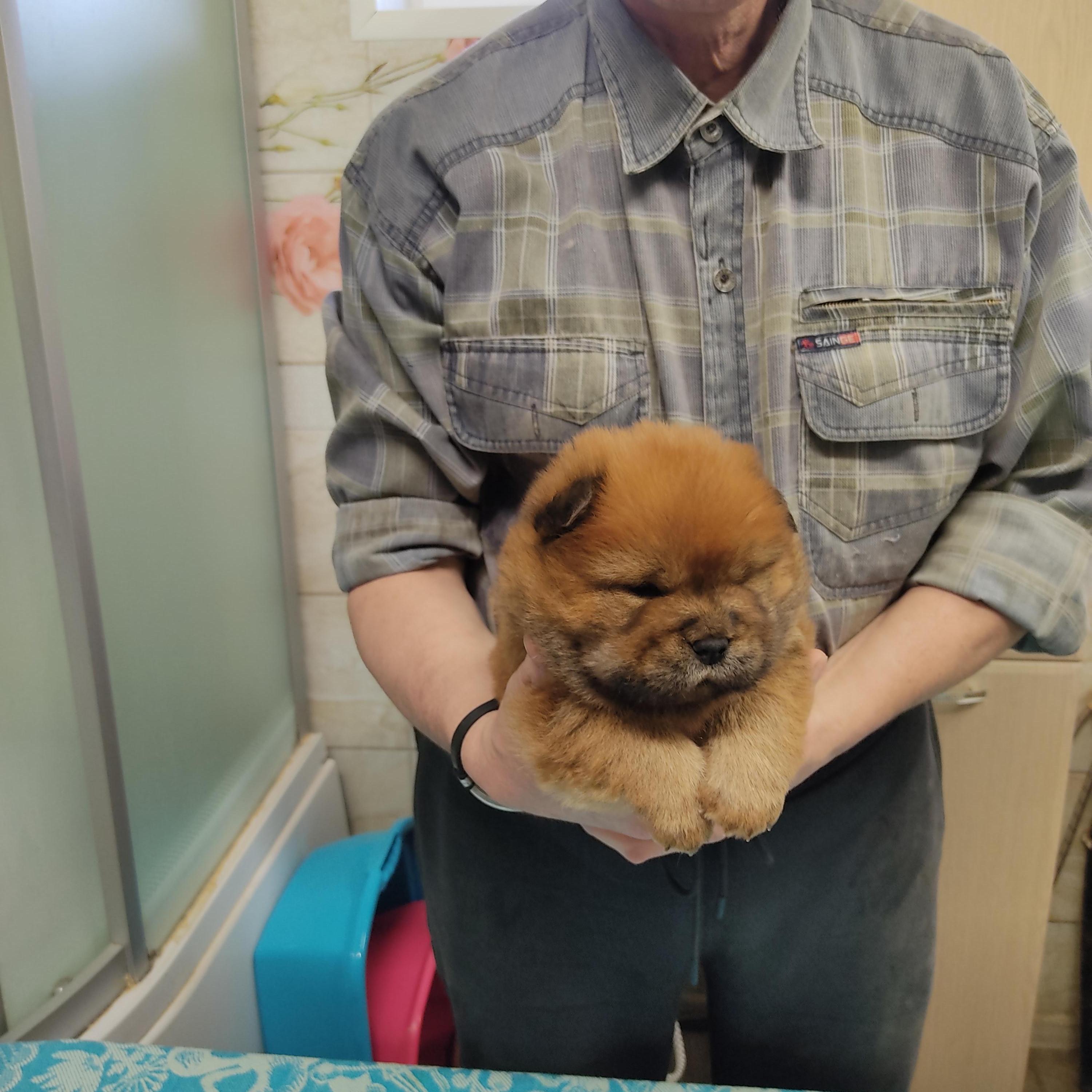 Клото Сани Анджонг