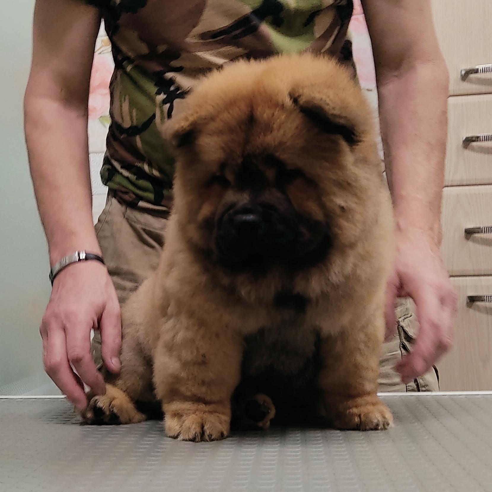 Клото Сани Анджонг