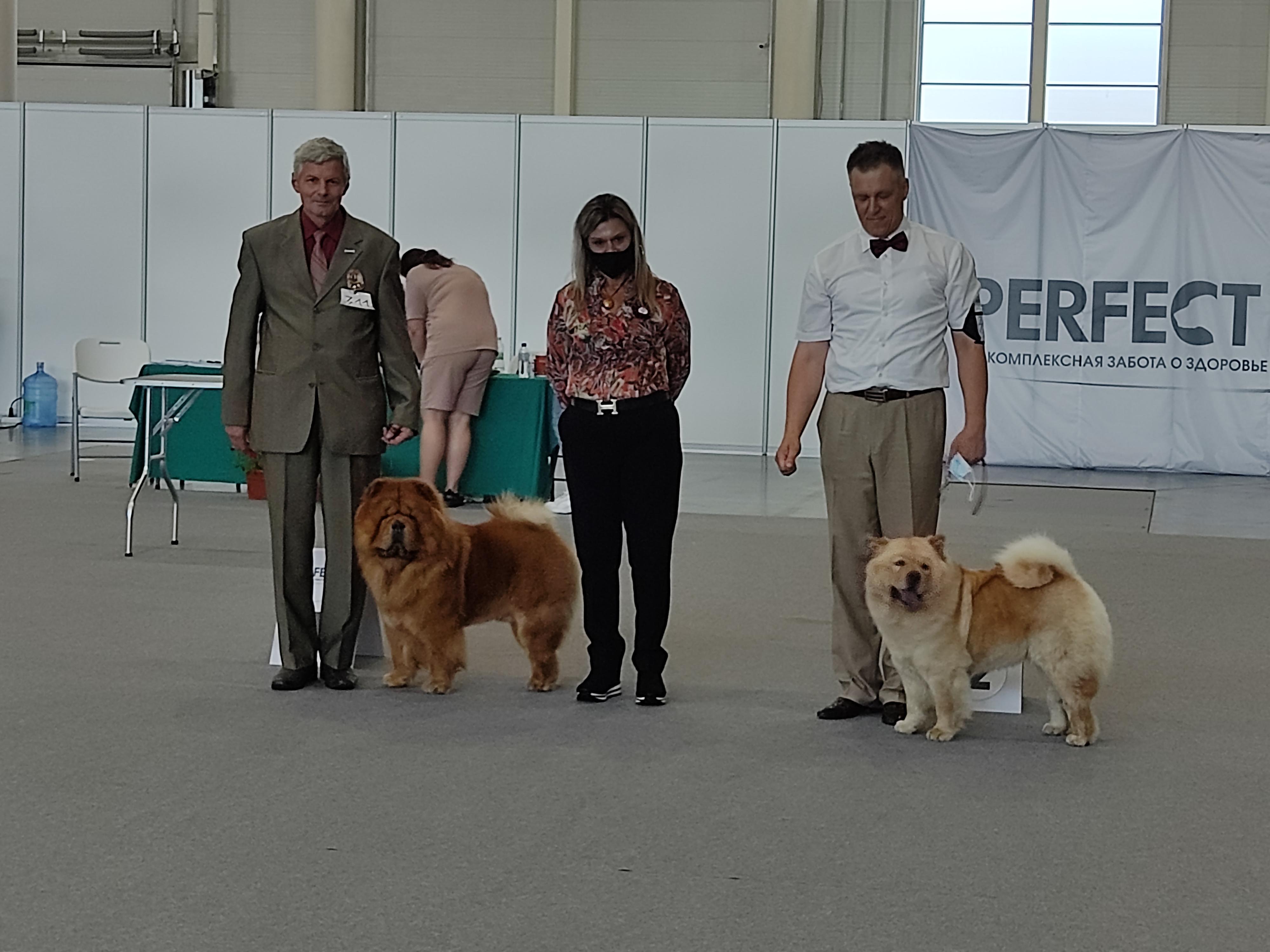 Сеня - 2,5 года - Евразия-2015 - 21.03.2015г. - отл. 3