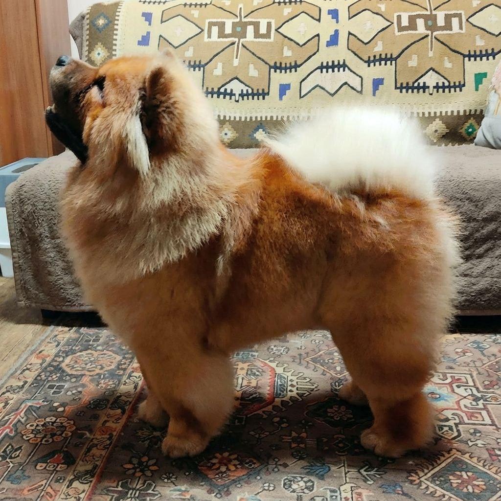 Сеня 7 месяцев