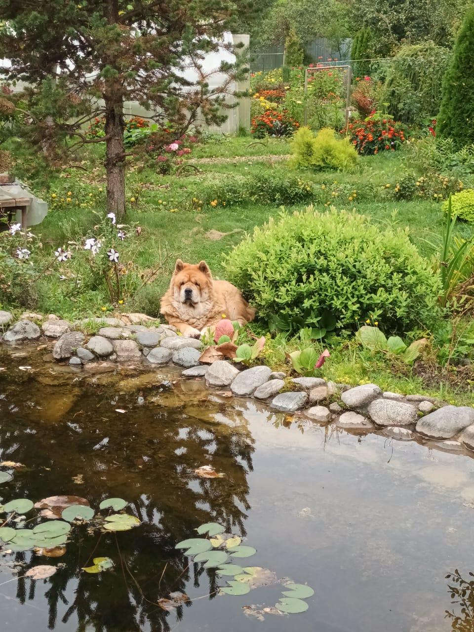 KLOTO BRIZARD MARIYA (Маша)