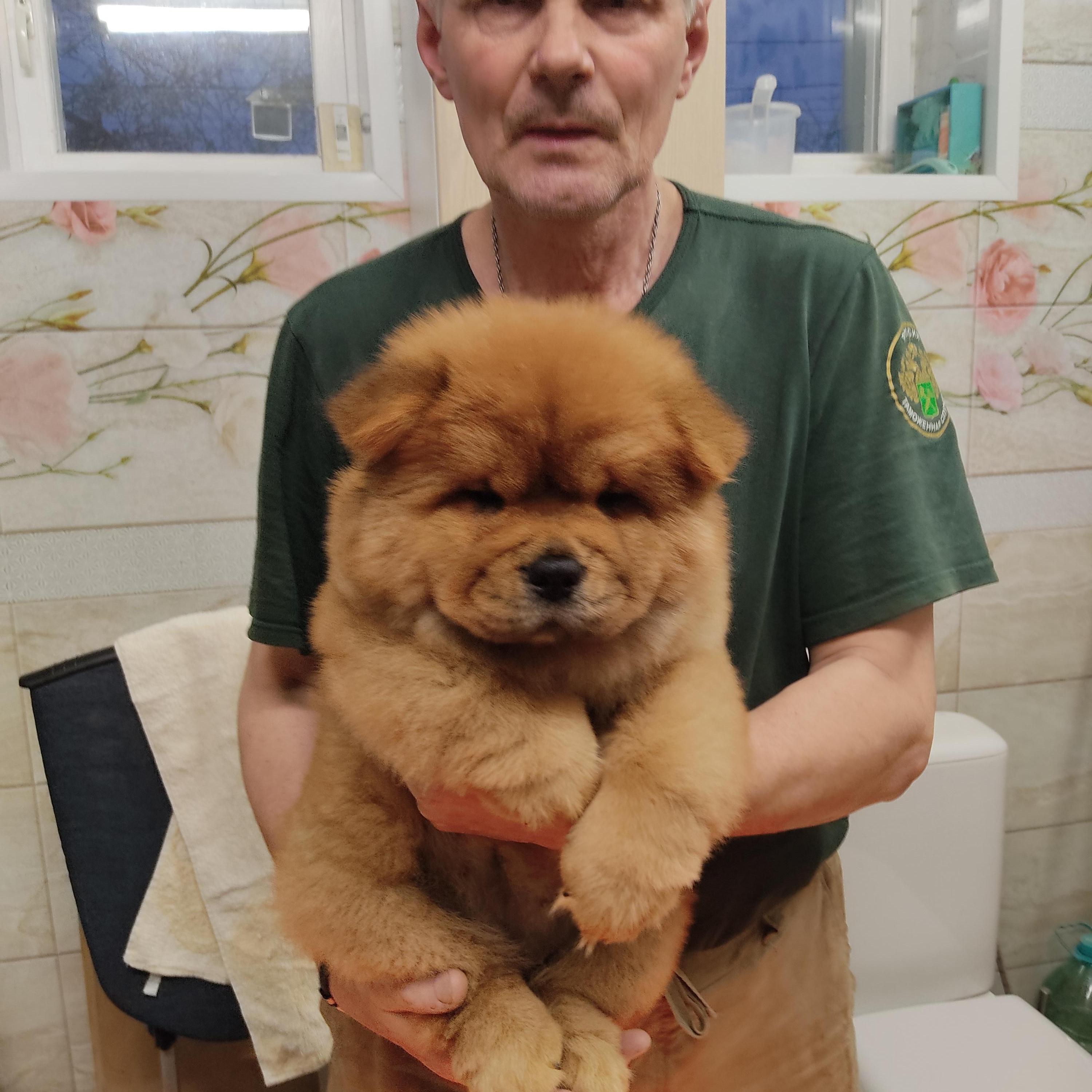 Клото Сани Анджонг