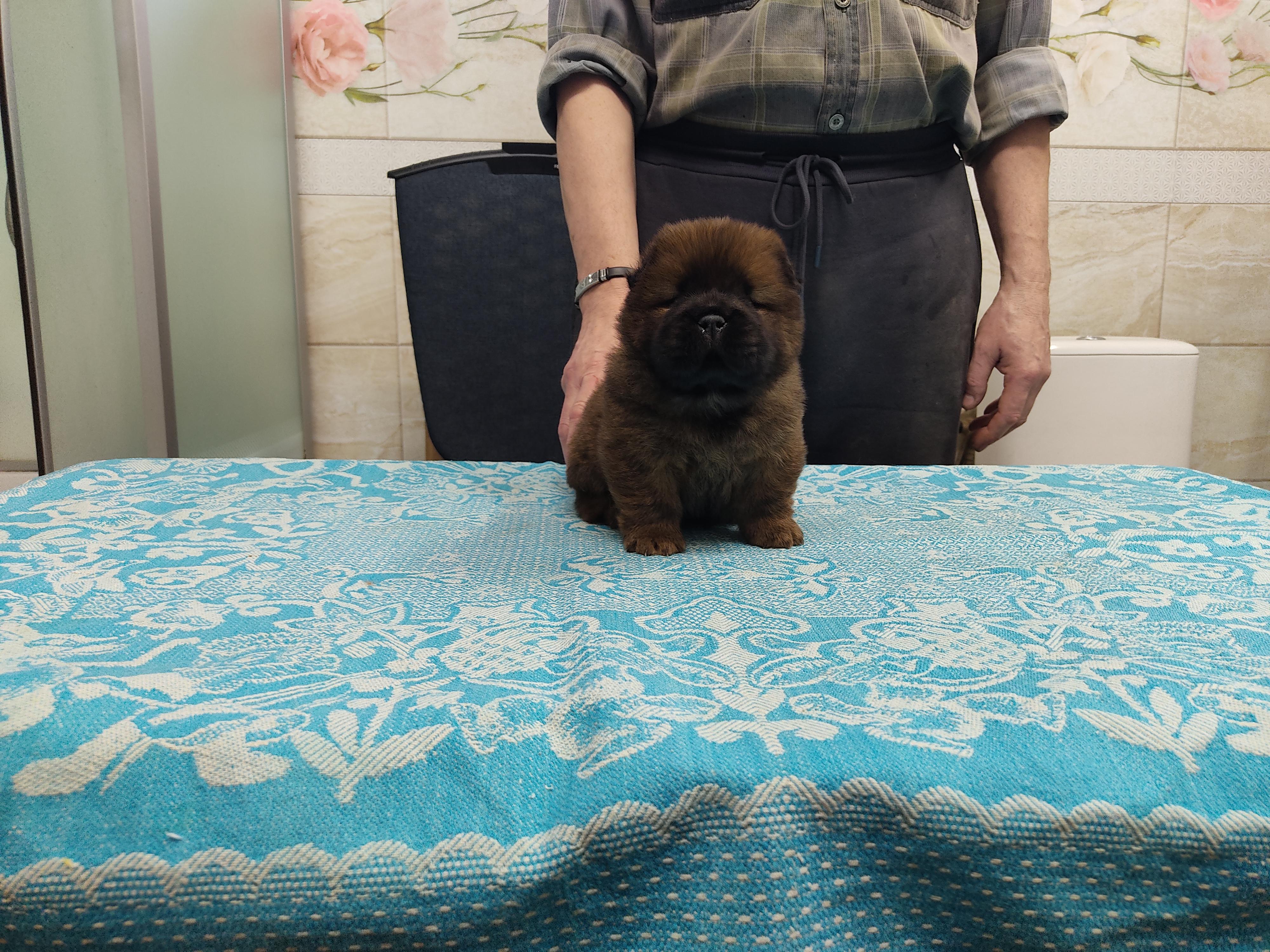 Клото Сани Анджонг